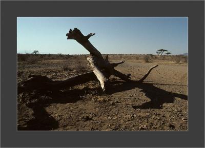 Samburu National Park