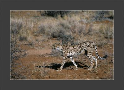 Samburu National Park