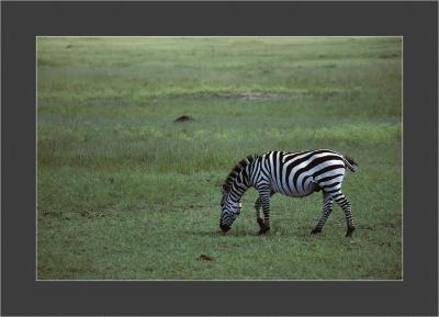 Masai Mara National Park