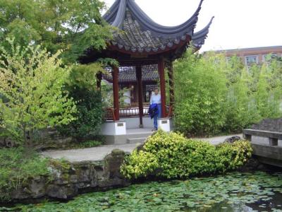 MGM in the Garden of Tranquility.
