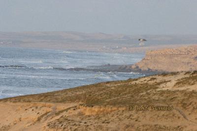 CRW_05592_RJ.jpg