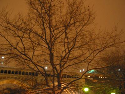 IMG_1628.jpg