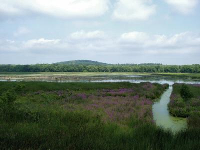 Great Meadows