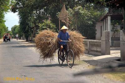 Straw on a bike