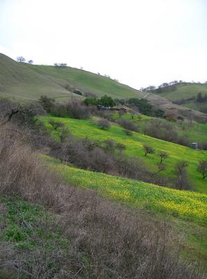 Mt Hamilton in the Winter