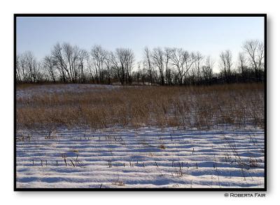 Snow Ripples