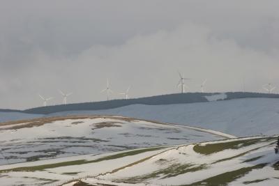 Windfarm