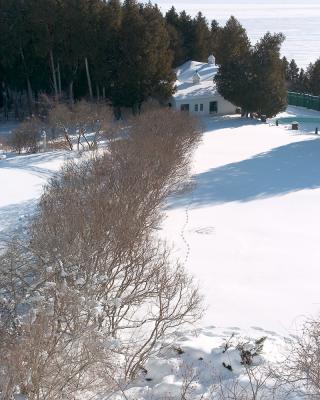 dsc_4991.jpg