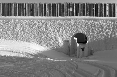dsc_5113bw.jpg
