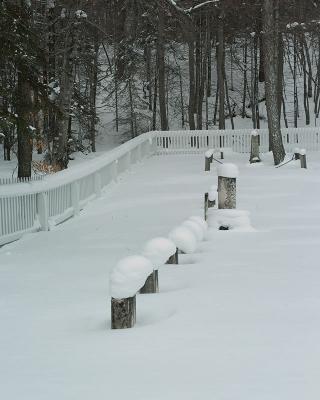 dsc_5356.jpg