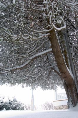 dsc_5428.jpg
