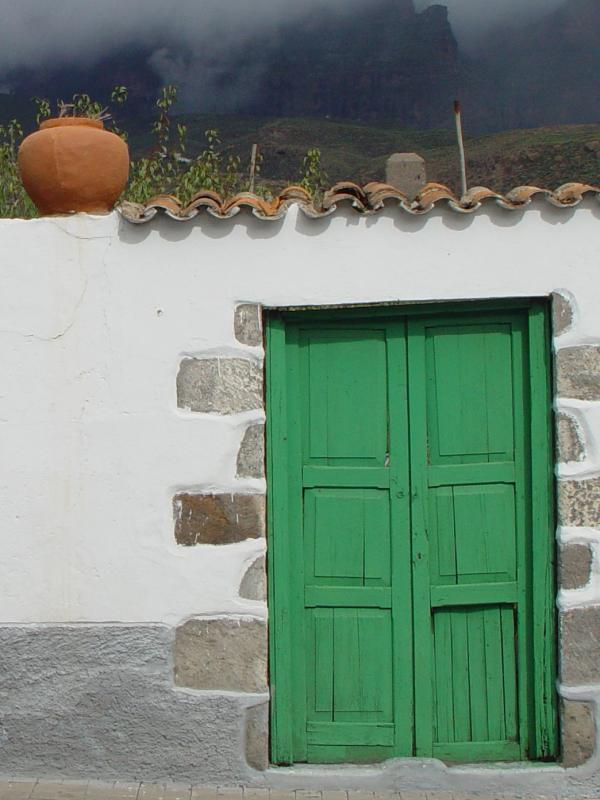 Door with vase