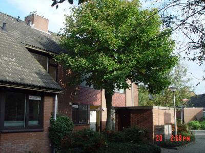 The front of our house seen from southwestern direction