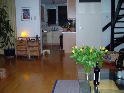 View on the (open) kitchen