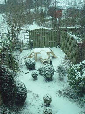 Our backgarden in snow