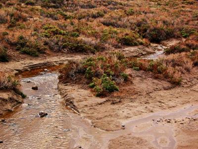 Rare permanent running water