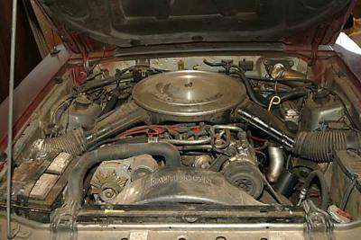 155-5541_IMG.jpg