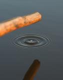 CRW_0080pf.jpg
