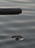 CRW_0086pf.jpg
