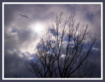 The sky is low, the clouds are mean,

The sky is low, the clouds are mean,
A travelling flake of snow
Across a barn or through a rut
Debates if it will go.

A narrow wind complains all day
How some one treated him;
Nature, like us, is sometimes caught
Without her diadem.

--Emily Dickinson


