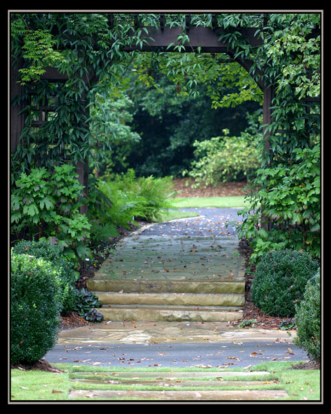 aIMG_1108.jpg