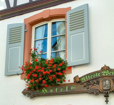 hotel window