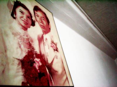 parent's wedding photo