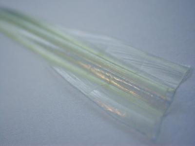 specimen 6
