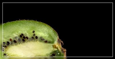 Kiwi 2