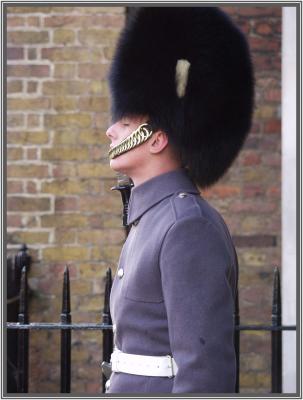 P1291022Guard3.jpg