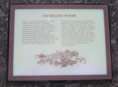 Anchialine Ponds