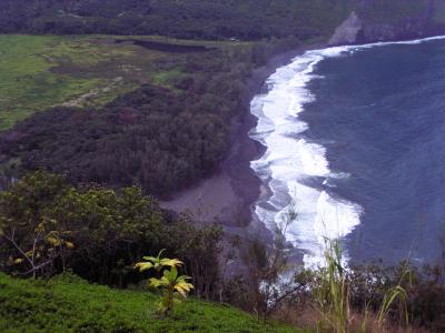 Waipio Black Sand Beach