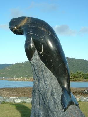 dugong