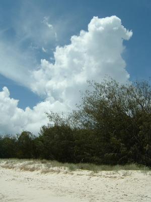 thunderheads