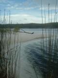 lake mckenzie though reeds