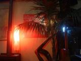 Cool Decor...Buddha Bar