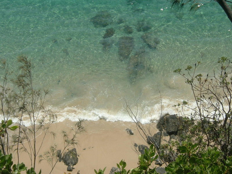 Refreshing view