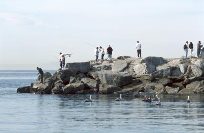 02-36 West Jetty