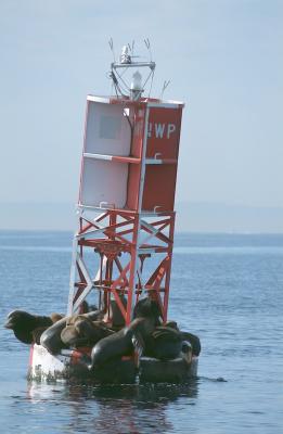 03-06 Newport Buoy