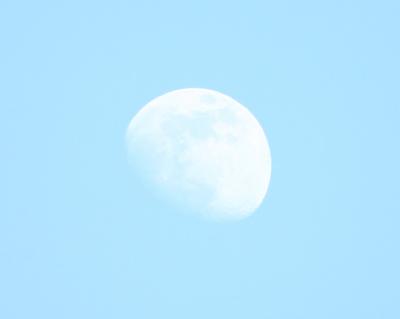 Moon in daylight above Green Belt