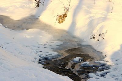 Creek running along the Green Belt