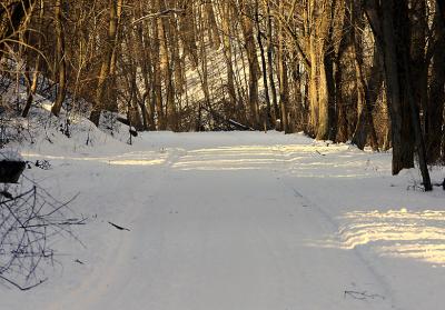 View of slight incline on Green Belt