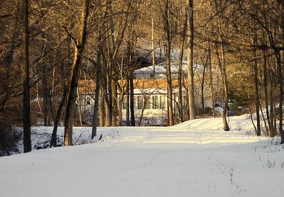 Snowy Green Belt Pathway