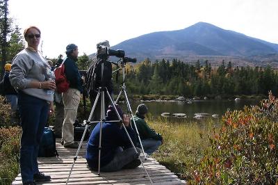 Several photographers set up to take images of the Moose in Sandy Stream Pond in Baxter State Park (in Maine)
