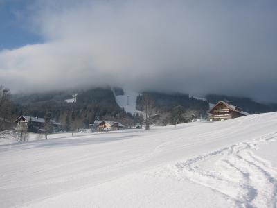 Hochwurzen ad hreinsa sig kl 11.