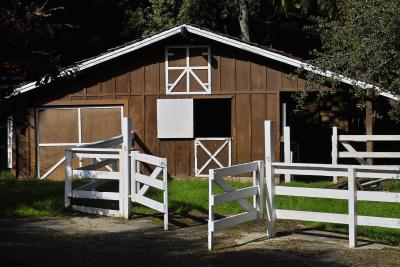 A neighbor's barn