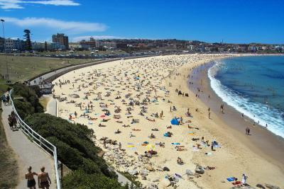 Bondi Beach