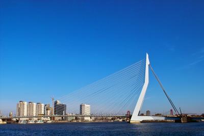 Rotterdam, Sunday morning