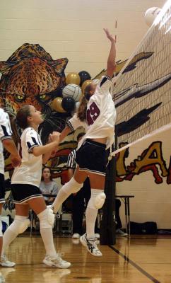 u39/smatthews62/medium/35072895.IMG_8707_8B_Kelsey.jpg
