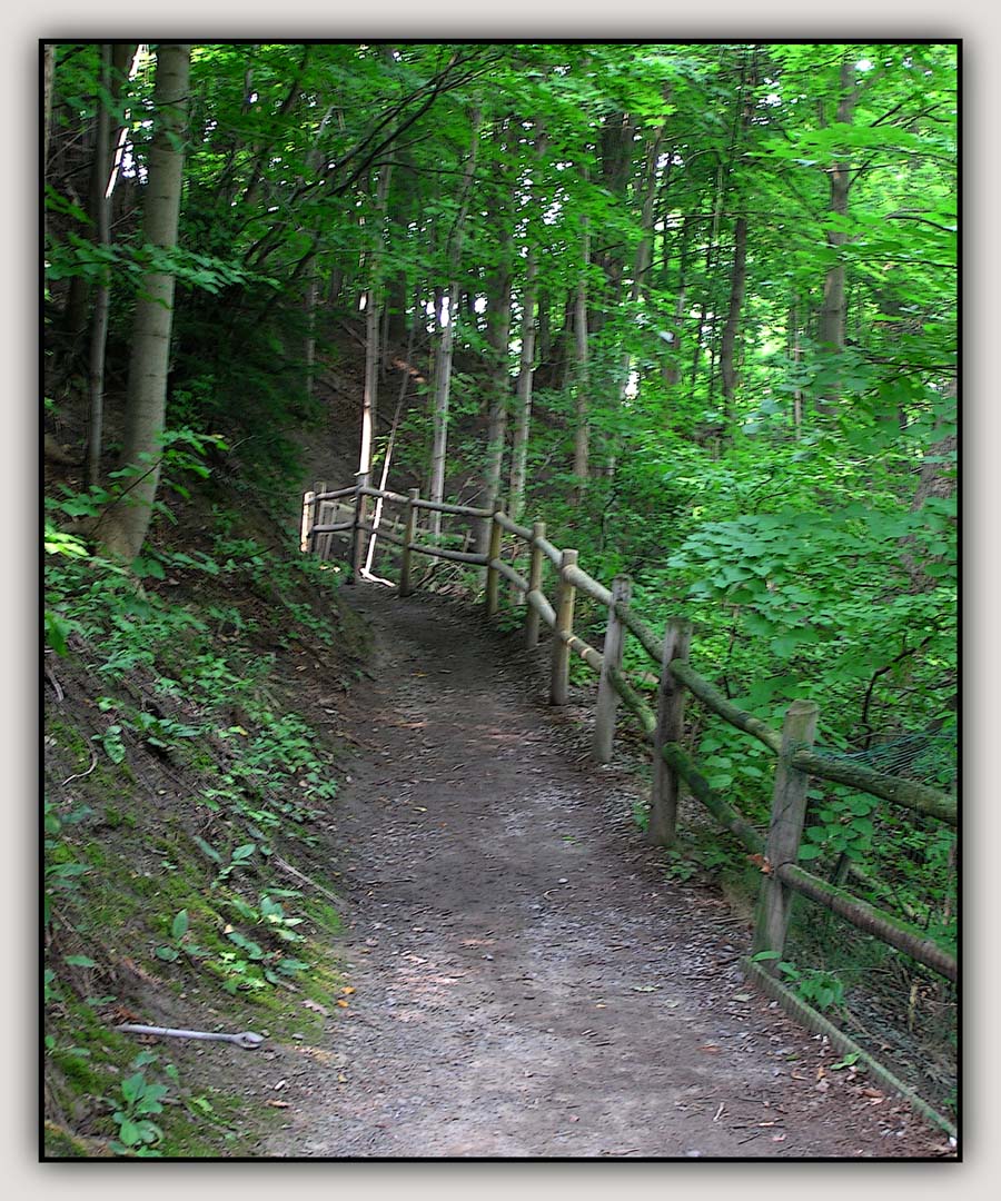Finger Lakes Vacation 50